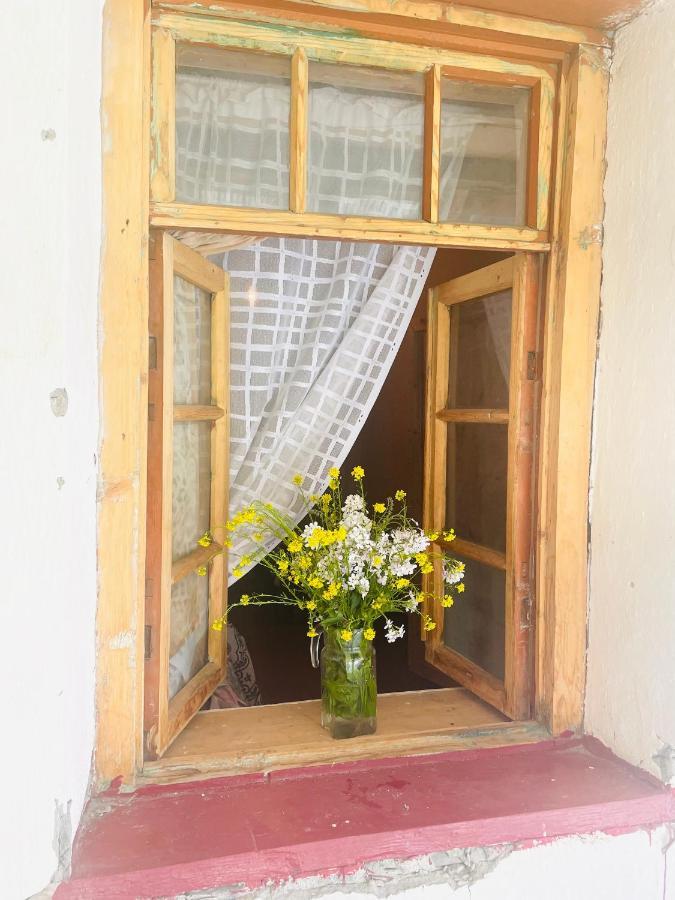 Tamazi Guest House Adishi Zewnętrze zdjęcie